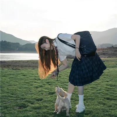 十二生肖战纪